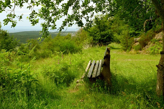 以弱胜强 以弱胜强