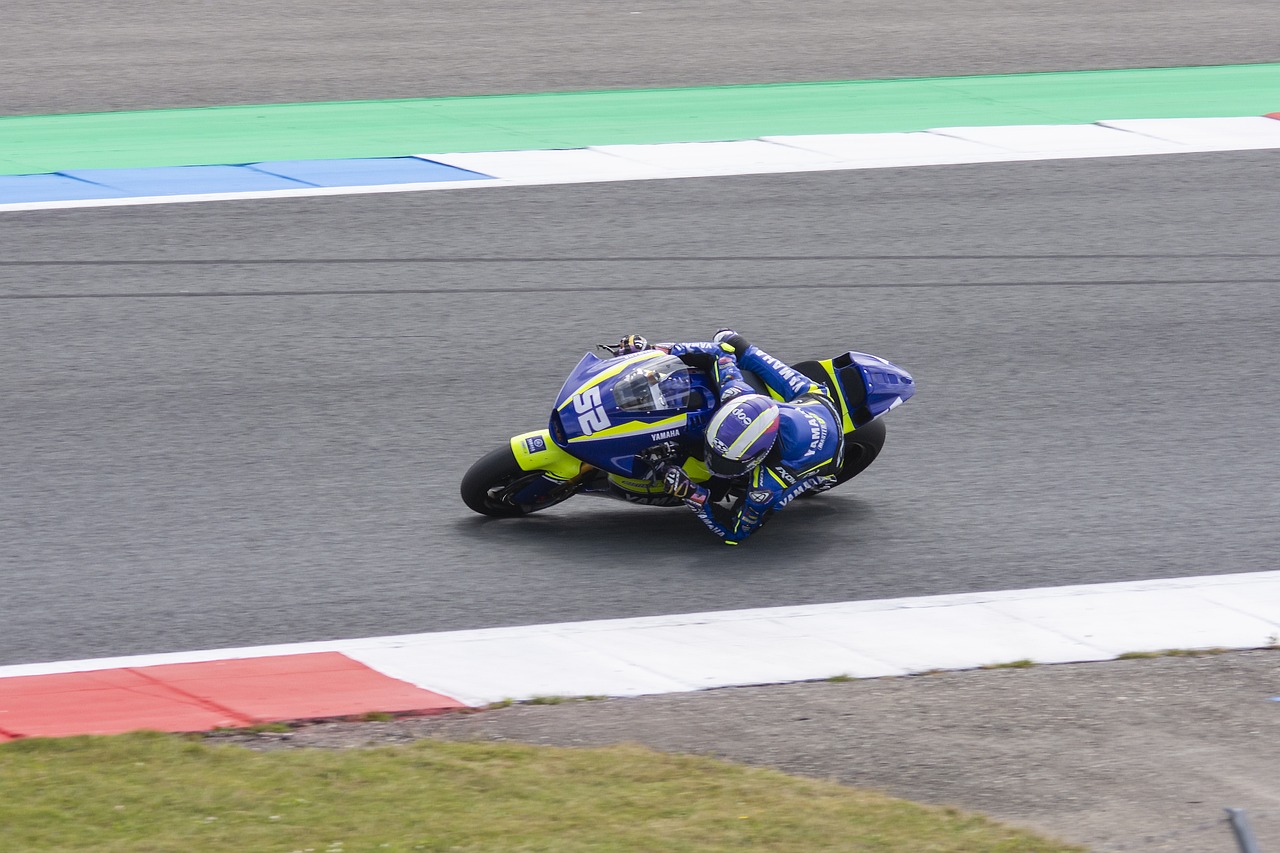 都将为他提 都将为他提