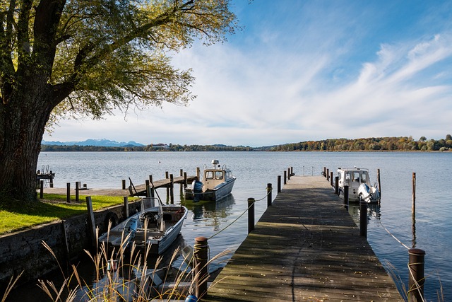 自己实力的 自己实力的