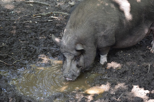 所有重要赛 所有重要赛