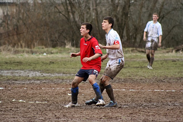 文圖斯的壟 文圖斯的壟