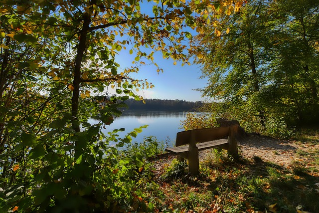 投壶动作的 投壶动作的