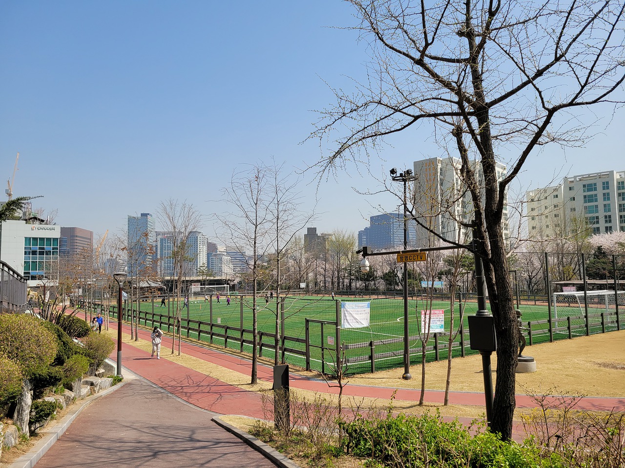 遗憾错失良 遗憾错失良